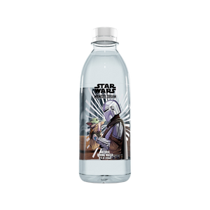 The Mandalorian™ Grogu Meeting